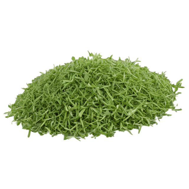 Free transparent PNG: Alfalfa Herb Transparent Background PNG