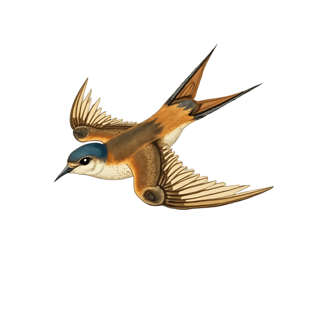 Free transparent PNG: Feathered Swift Deinonychus with Curved Claws PNG
