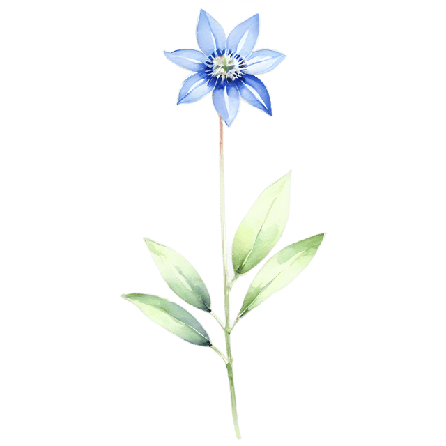 Free transparent PNG: Borage Flower Watercolor Illustration – Transparent PNG for Nursery Decor & Art Projects