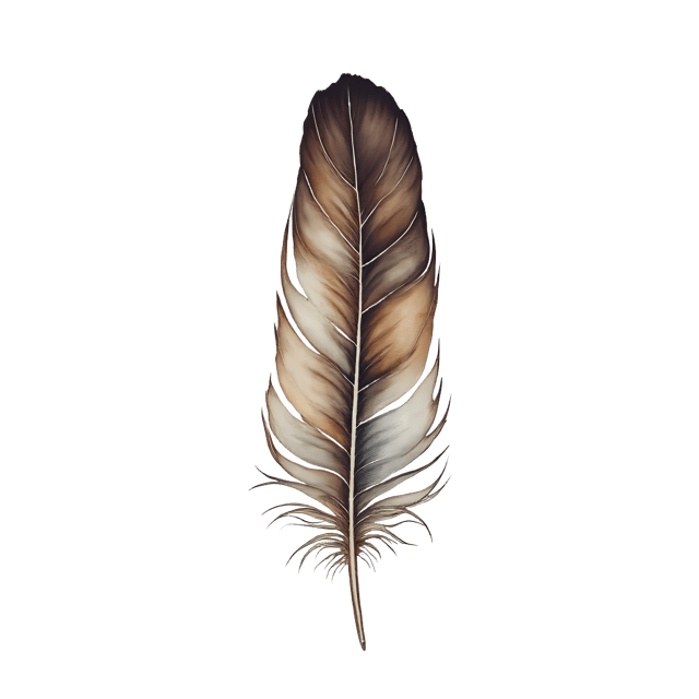 Free transparent PNG: Faded Feather Fragment  Free PNG Download for Art Projects