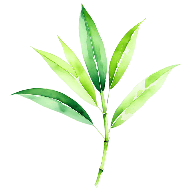 Free transparent PNG: Bamboo Leaf Watercolor Illustration - Transparent PNG for Nature and Craft Projects