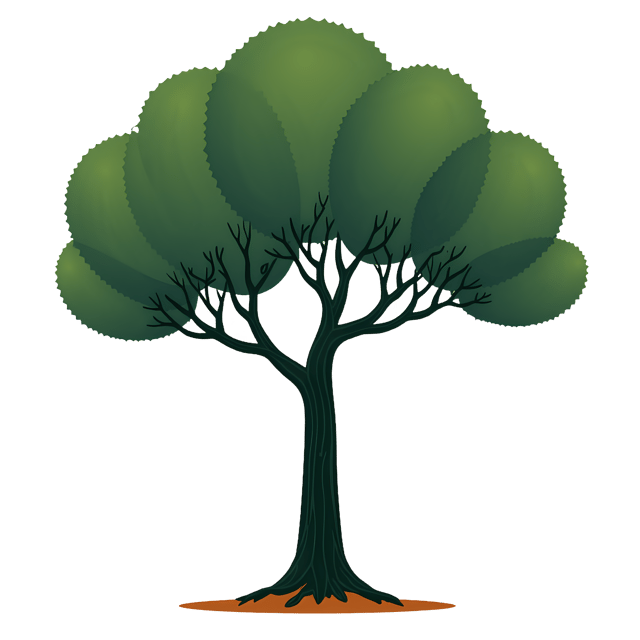 Free transparent PNG: Transparent PNG Green Tree with Branches Stretching Upwards