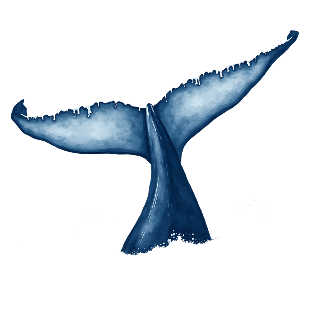 Free transparent PNG: Whale Tail  Underwater Scene Clipart, free png download