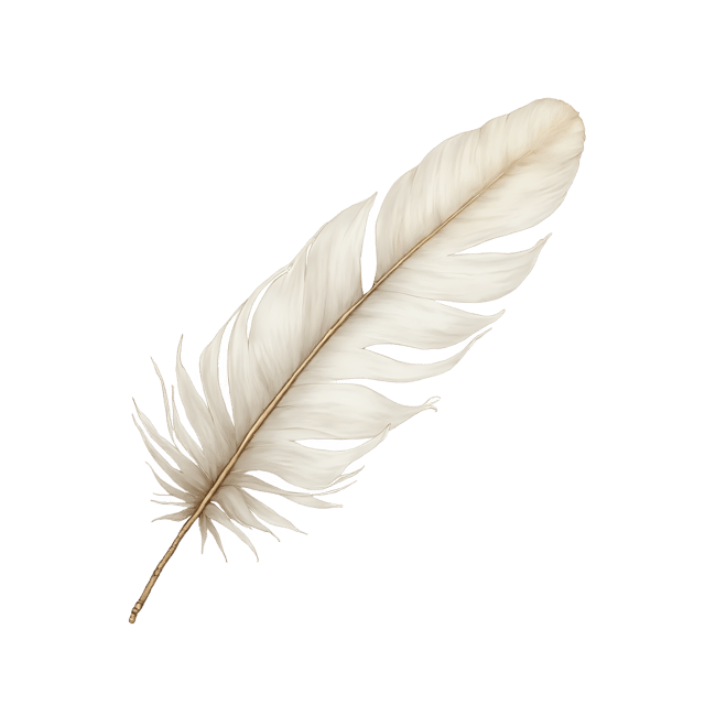 Free transparent PNG: Soft White Feather  Elegant Clipart, free transparent png download