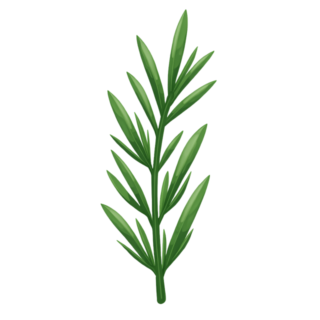 Free transparent PNG: Fresh Rosemary Sprig  Herb Clipart, free download png