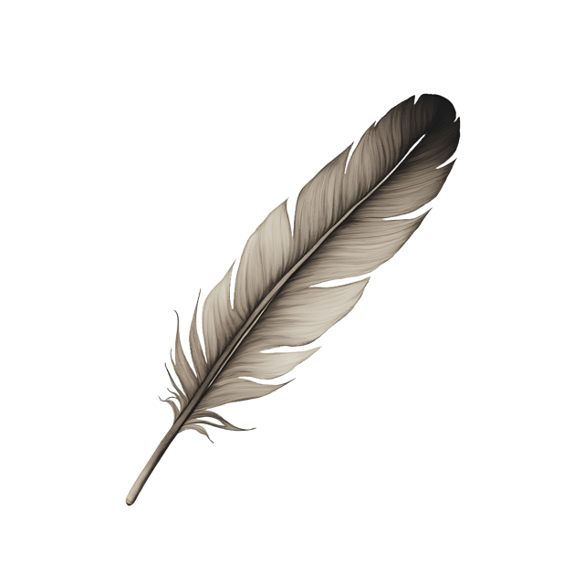 Free transparent PNG: Curved Flight Feather  Vector Clipart, free transparent png download