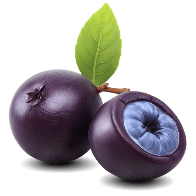 Free transparent PNG: Acai Berry Transparent PNG Background for Art and Design