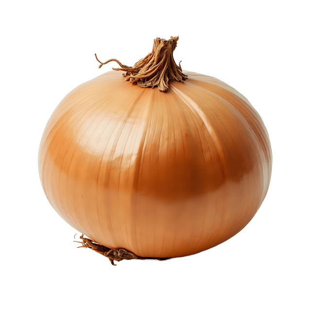 Free transparent PNG: Onion PNG Clipart  Perfect for Cooking, Health  Educational Uses