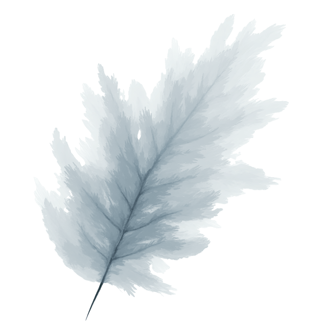 Free transparent PNG: Soft Gray and White Brushstroke Shapes with Transparent Background PNG