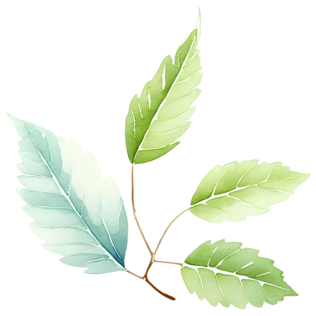 Free transparent PNG: Carved Leaf Ornament - Watercolor Style Transparent PNG Illustration
