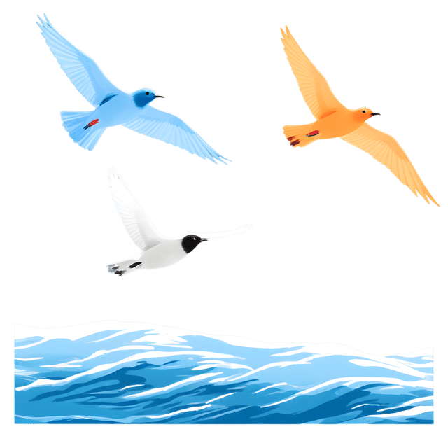 Free transparent PNG: Birds Flying Over a Flowing River Transparent PNG Background