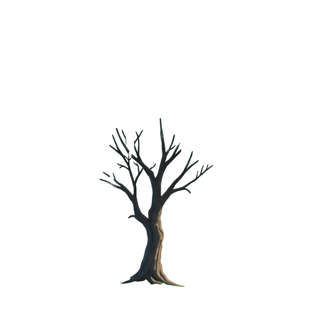 Free transparent PNG: Willow Tree with Silver Leaves Clipart