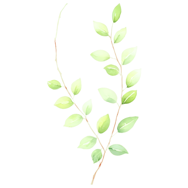 Free transparent PNG: Watercolor Trailing Vine PNG – Transparent Gentle Illustration for Nature-Inspired Designs