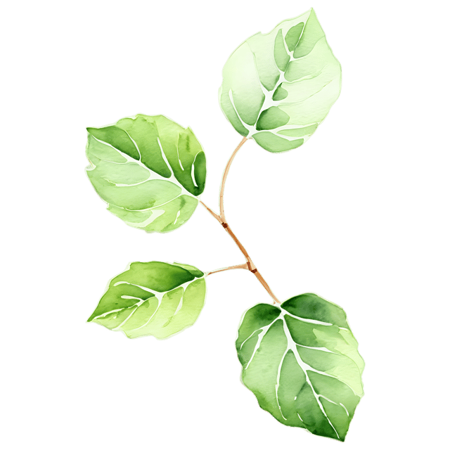 Free transparent PNG: Ivy Leaf Watercolor Illustration – Transparent PNG for Nature Themed Designs