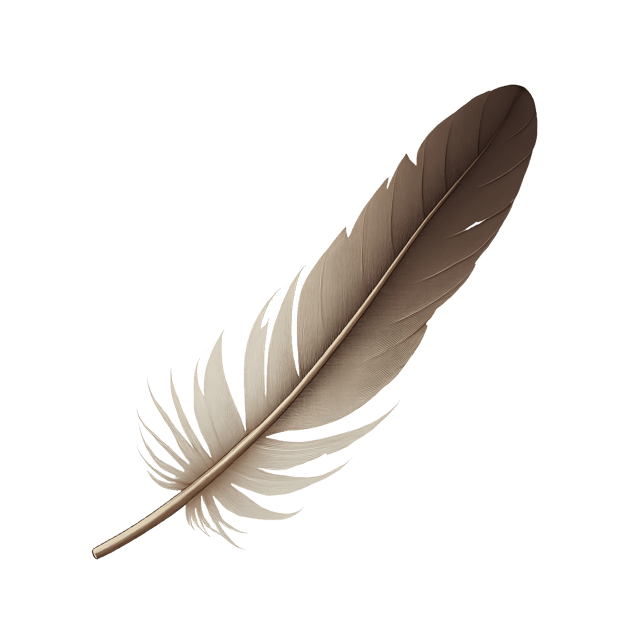 Free transparent PNG: Bent Feather Shaft  Nature Clipart, free transparent png download
