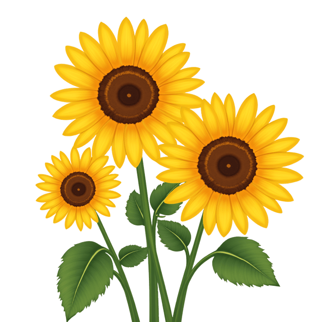 Free transparent PNG: Cheerful Yellow Sunflowers Clipart with Transparent Background