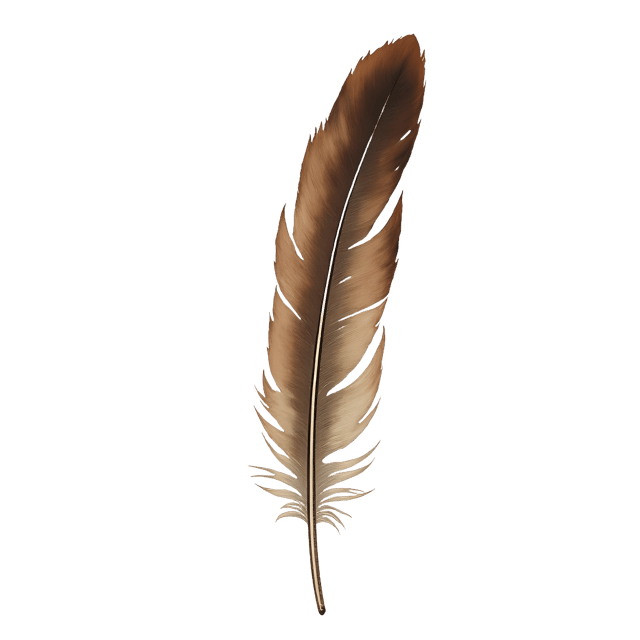 Free transparent PNG: Long Quill Feather with Aged Shaft  Bird Clipart, free download png