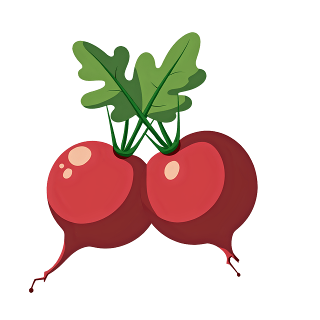 Free transparent PNG: Beet PNG Download  Perfect for Food Icons, Clipart  Decor