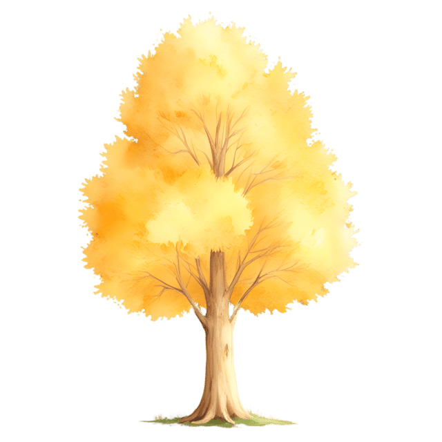 Free transparent PNG: Golden Light Filtering Through Trees Transparent Background PNG