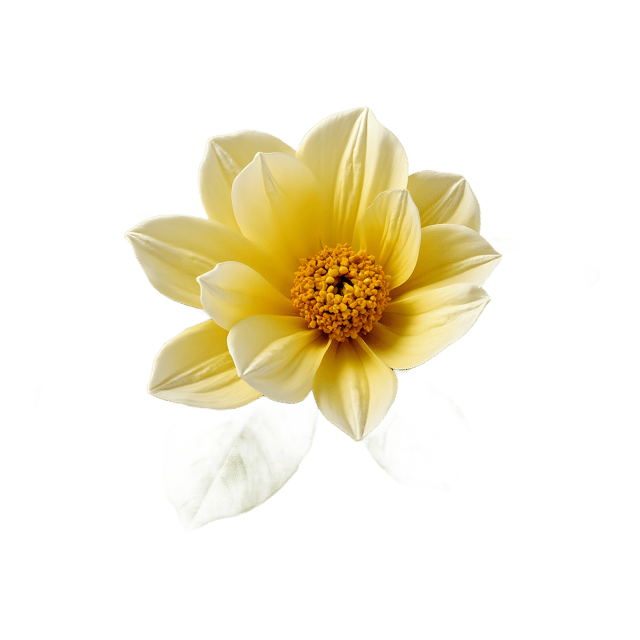 Free transparent PNG: Honeydew PNG Clipart  Ideal for Summer Themes, Desserts  Crafts