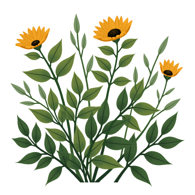 Free transparent PNG: Mustard Greens PNG Clipart  Perfect for Health-Focused Design  Education