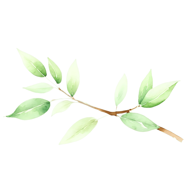 Free transparent PNG: Watercolor Leafy Branch Design Element – Transparent PNG Illustration for Nature Inspired Projects