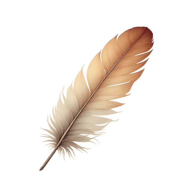 Free transparent PNG: Fluffy Down Feather  Soft Light Clipart, free downloadable png