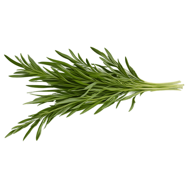 Free transparent PNG: Tarragon Herb Transparent PNG for Culinary and Decorative Use