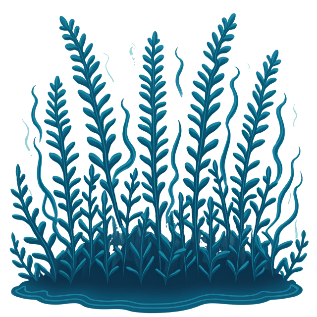 Free transparent PNG: Tall Kelp Plant Illustration for Marine and Underwater Art