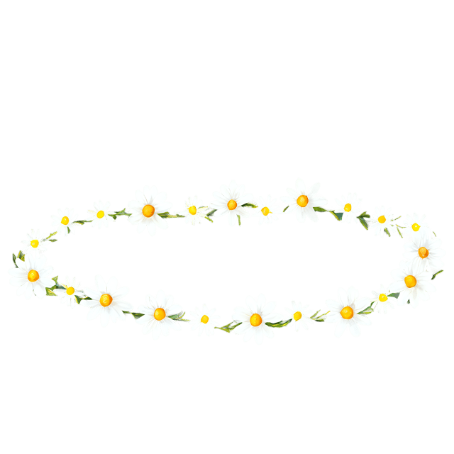 Free transparent PNG: Watercolor Daisy Chain Illustration – Transparent PNG for Nursery Decor & Crafts