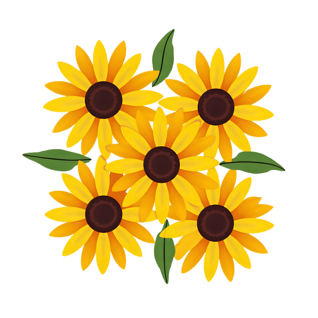 Free transparent PNG: Radiant Sunflowers with Bright Yellow Petals and Dark Centers Transparent PNG Background