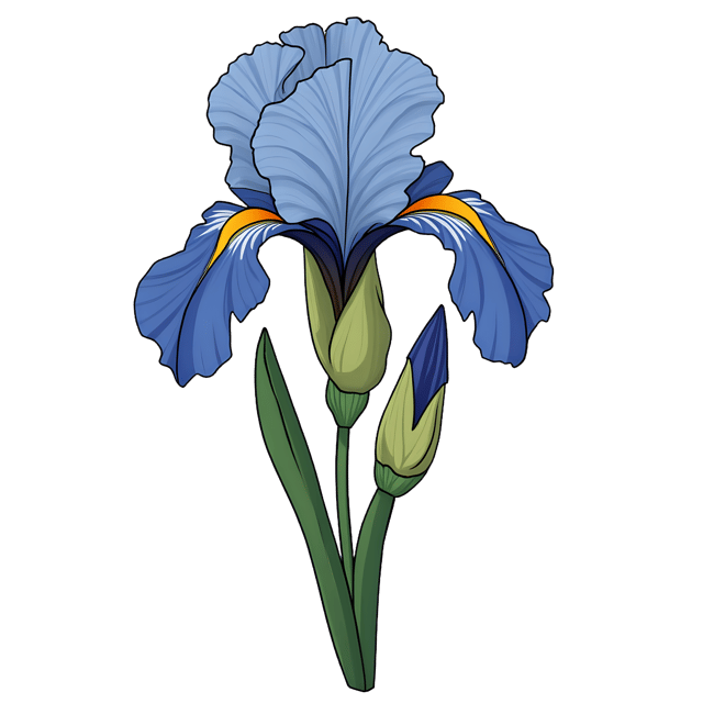 Free transparent PNG: Art Nouveau Iris Illustration  Floral Design Clipart, free downloadable png