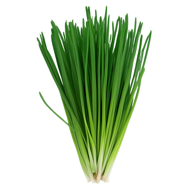 Free transparent PNG: Transparent Chives Herb PNG for Culinary and Decorative Use