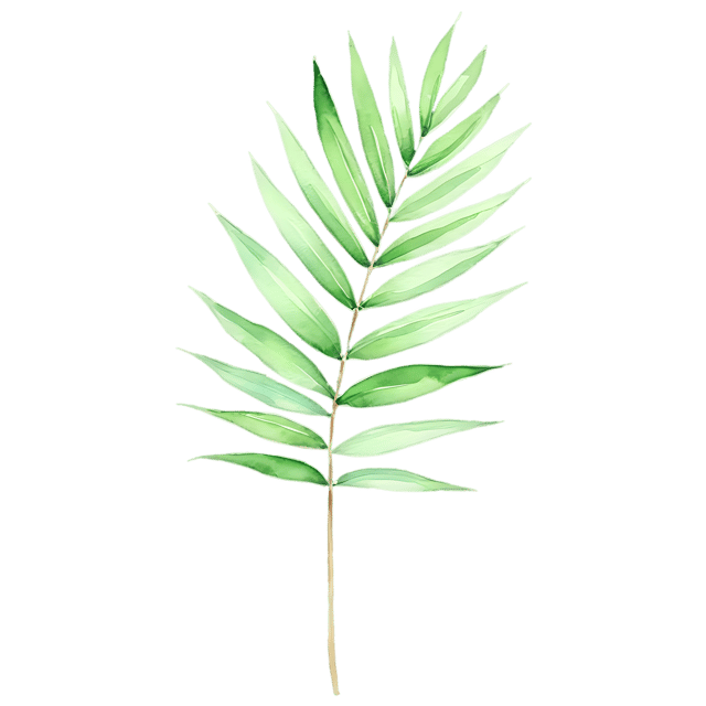 Free transparent PNG: Watercolor Palm Leaf PNG – Transparent Background Nature Illustration