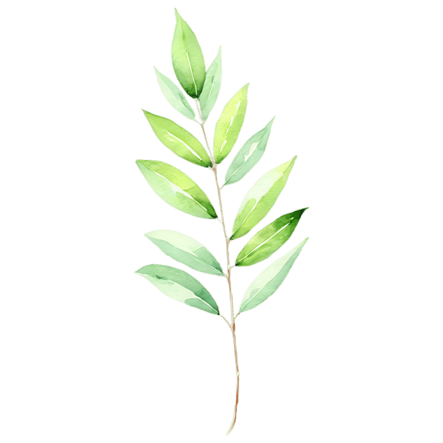 Free transparent PNG: Laurel Leaf Watercolor Illustration – Transparent PNG for Various Design Uses