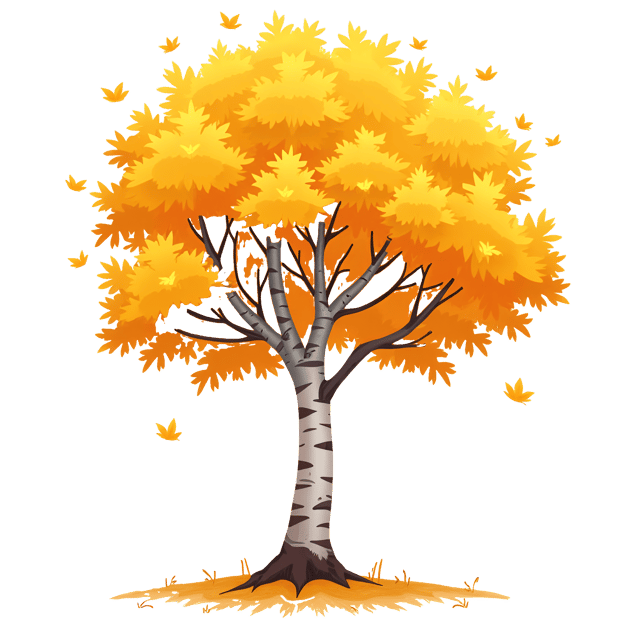 Free transparent PNG: Birch Tree with White Bark and Bright Yellow Fall Foliage Illustration