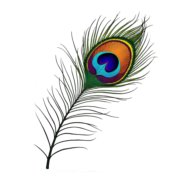 Free transparent PNG: Iridescent Peacock Feather  Ornament Clipart, free transparent png download
