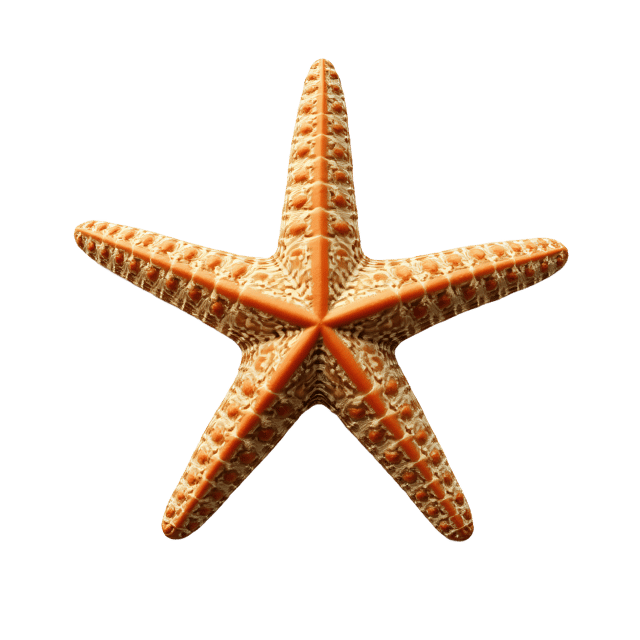 Free transparent PNG: Starfish PNG Clipart  Unique Marine Life Design Element