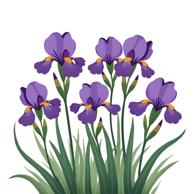 Free transparent PNG: Vibrant Purple Iris Cartoon Illustration with Watercolor Style
