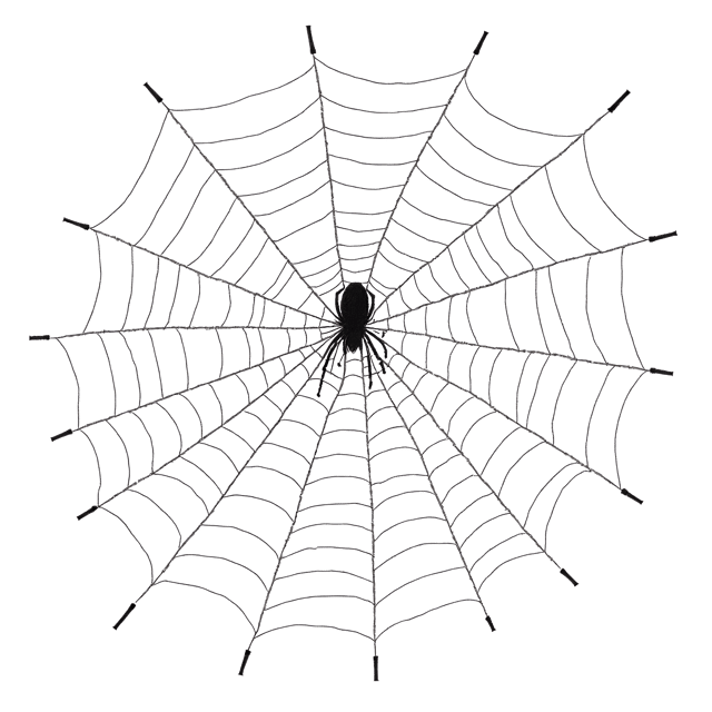 Free transparent PNG: Delicate Spiderweb Ink and Wash Drawing with Transparent Background