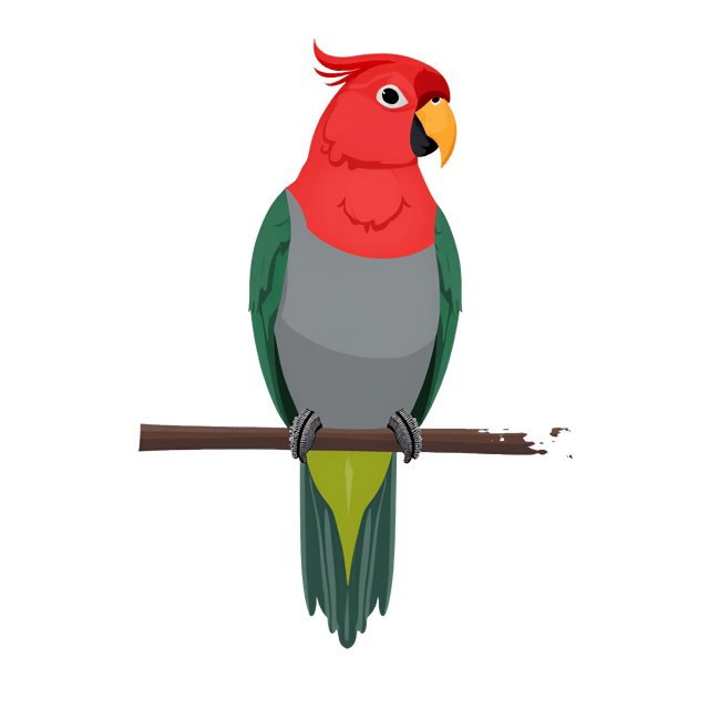 Free transparent PNG: Ruby-Crowned Antiparrot Illustration with Red Crest and Gray Body