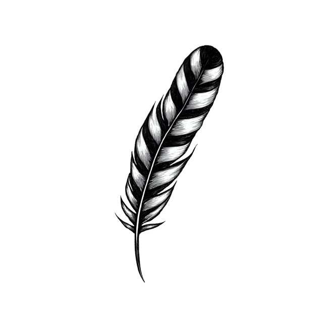 Free transparent PNG: Striped Bird Feather with Faded Note  Nature Clipart, free downloadable png