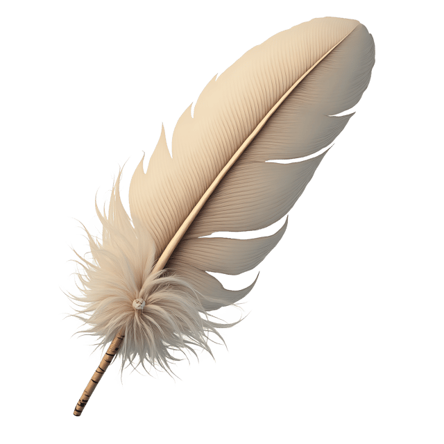 Free transparent PNG: Fluffy Down Feather  Elegant Clipart, free transparent png download