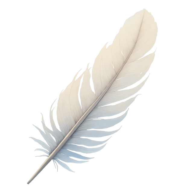 Free transparent PNG: Soft White Feather Under Morning Light  Nature Clipart, free transparent png download