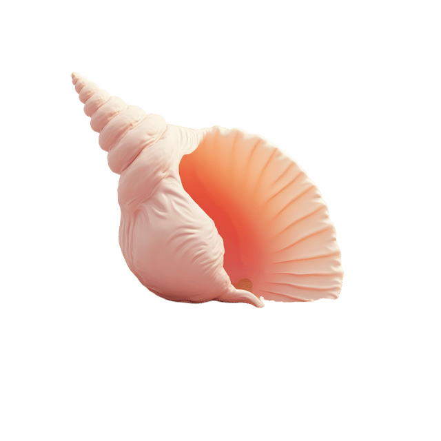 Free transparent PNG: Delicate Pink Seashell on Golden Sand PNG Background