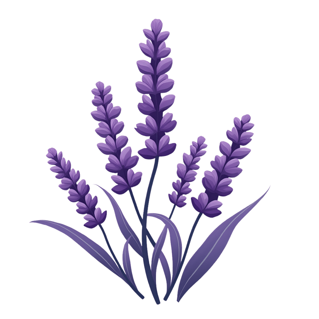 Free transparent PNG: Lavender Cameo Design  Elegant Clipart, free downloadable png