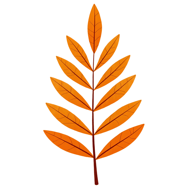 Free transparent PNG: Vibrant Rich Ochre Willow Leaf Cartoon Illustration with Flowing Lines