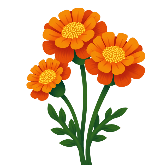 Free transparent PNG: Cheerful Marigold Flower Clipart with Fiery Orange Petals and Green Stems