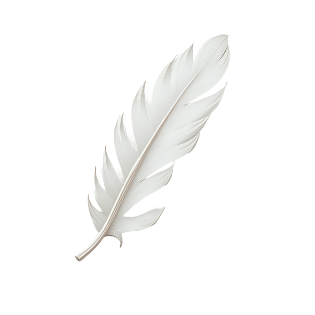 Free transparent PNG: Soft White Feather  Elegant Clipart Design with Vignette Effect, free png download
