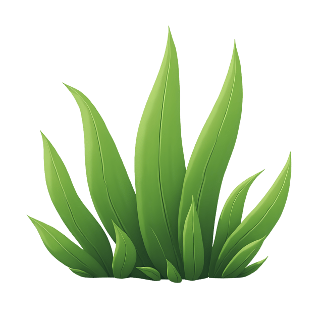 Free transparent PNG: Mustard Greens PNG Download  Perfect for Kitchen Recipes  Gardening Projects